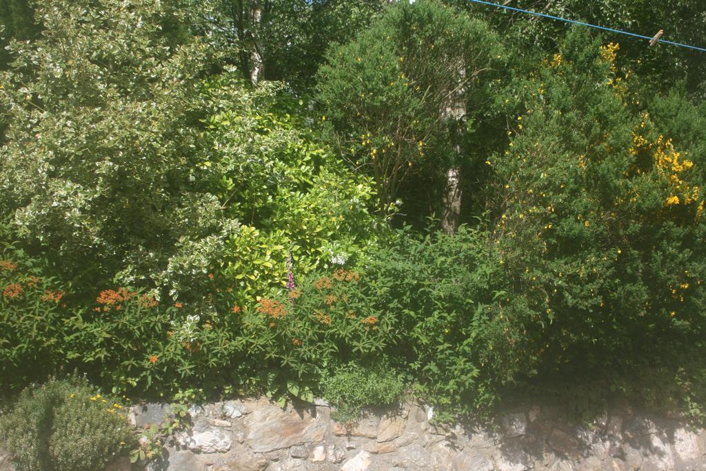 Laragh Mountain View Lodge Saggart Oda fotoğraf