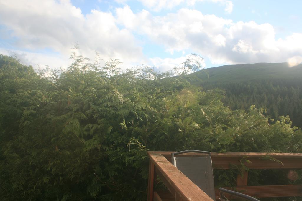 Laragh Mountain View Lodge Saggart Oda fotoğraf