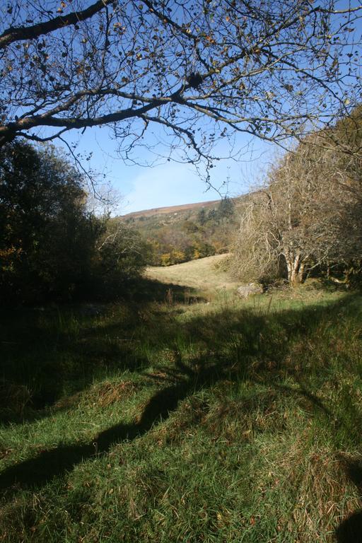 Laragh Mountain View Lodge Saggart Dış mekan fotoğraf